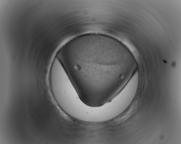 X0000103140807200808291337