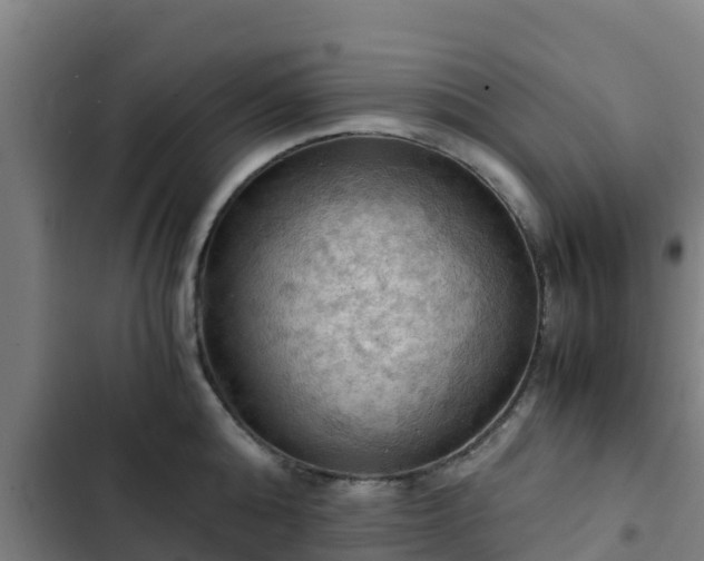 X0000103140808200808291337