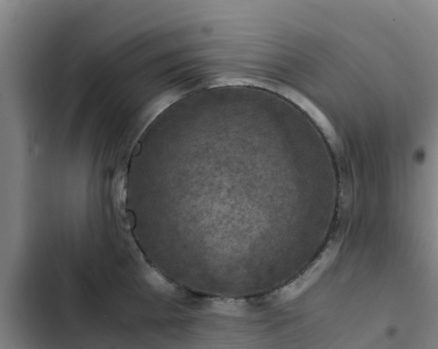 X0000103140809200808291337