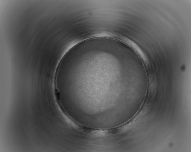 X0000103140810200808291337