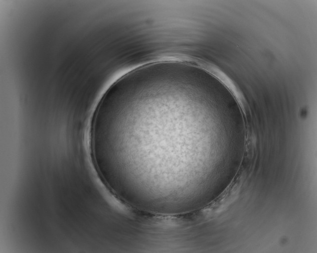 X0000103140811200808291337