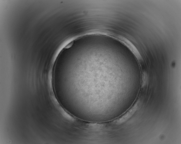 X0000103140812200808291337