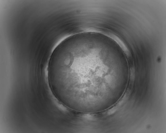 X0000103140814200808291337