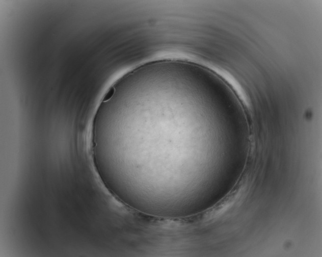 X0000103140815200808291337