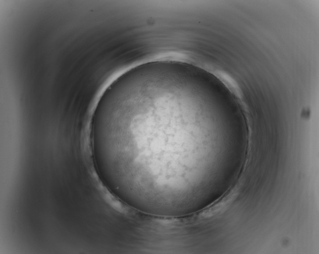 X0000103140816200808291337