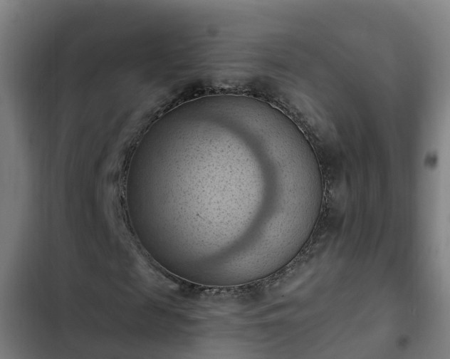 X0000103140817200808291336