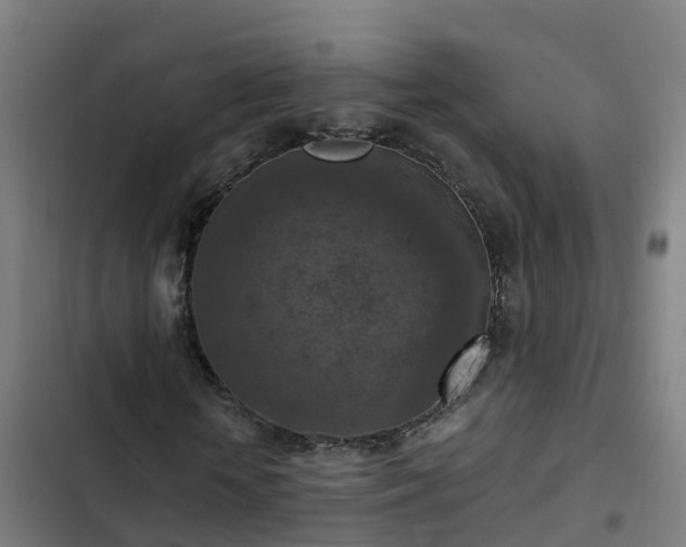 X0000103140818200808291336