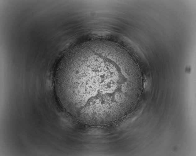 X0000103140819200808291336