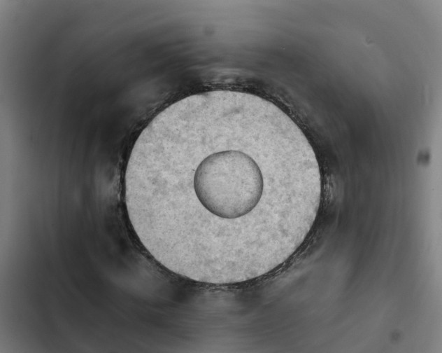 X0000103140820200808291336