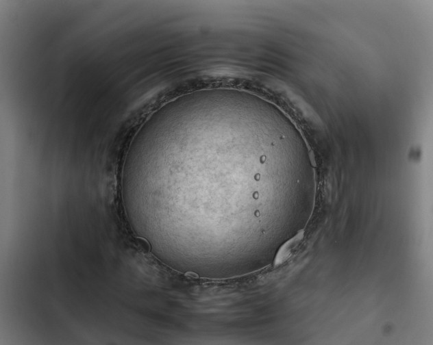 X0000103140821200808291336