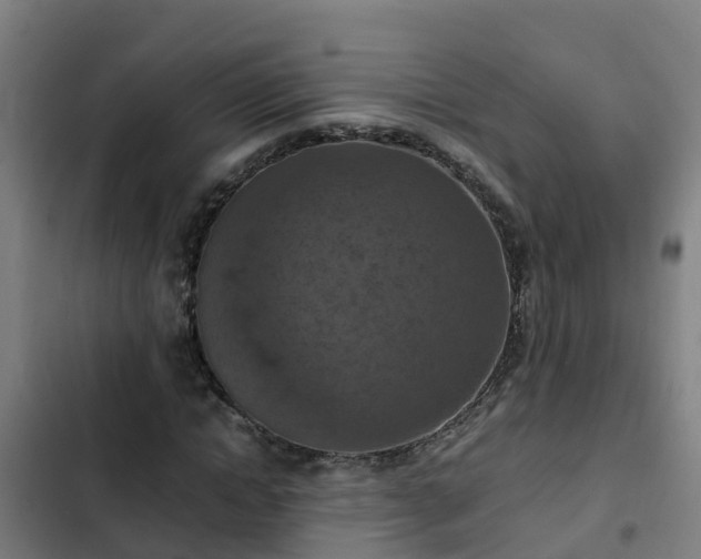 X0000103140822200808291336