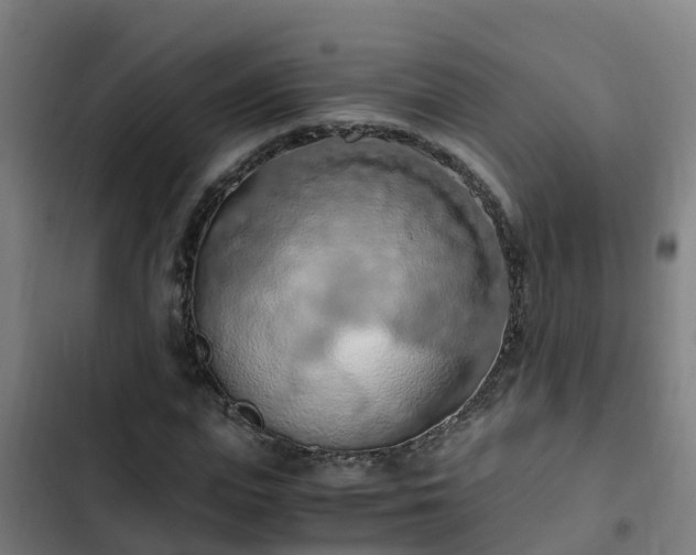 X0000103140823200808291336