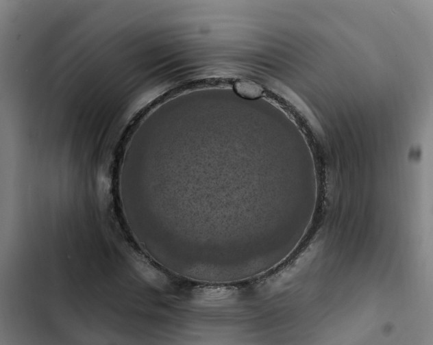 X0000103140826200808291336