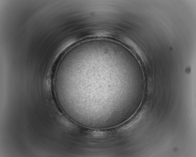 X0000103140827200808291336