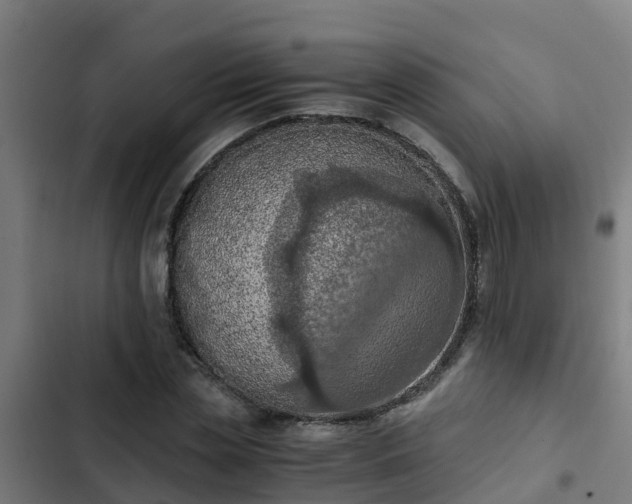 X0000103140829200808291336