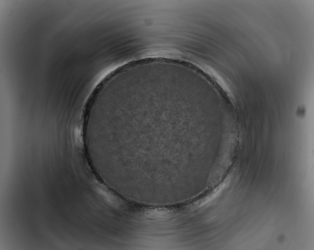 X0000103140830200808291336