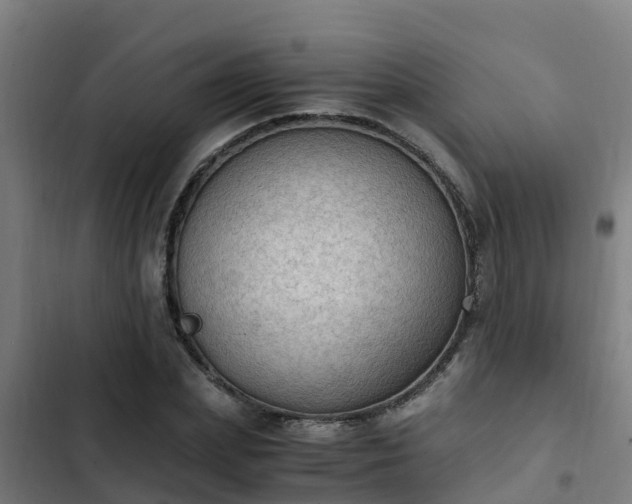 X0000103140831200808291336