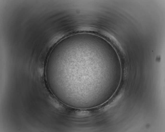 X0000103140833200808291336