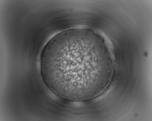 X0000103140835200808291336