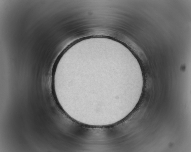 X0000103140836200808291336