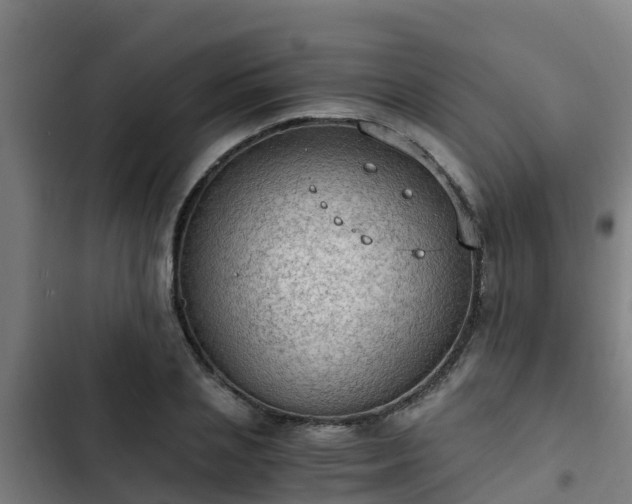 X0000103140837200808291336