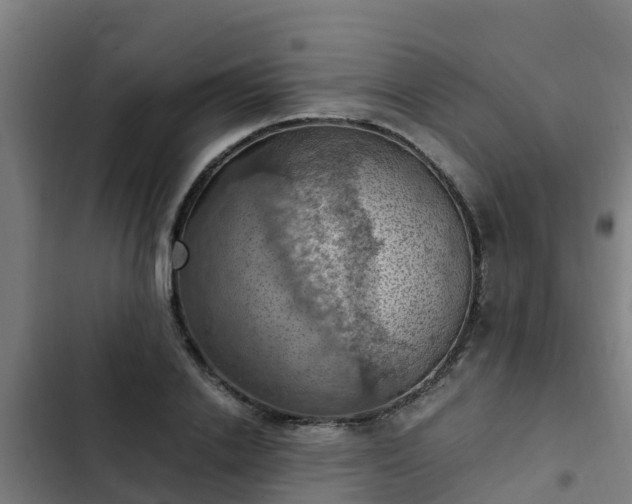 X0000103140838200808291336