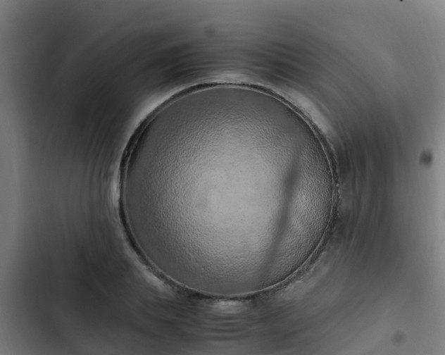 X0000103140839200808291336