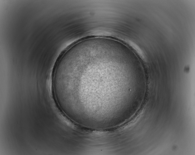 X0000103140840200808291337