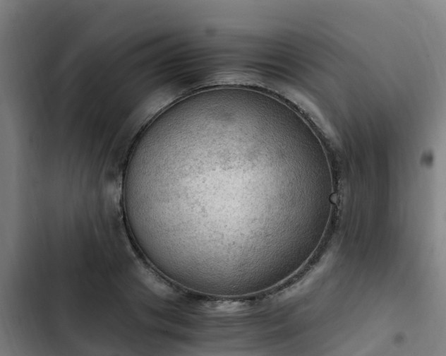 X0000103140841200808291337