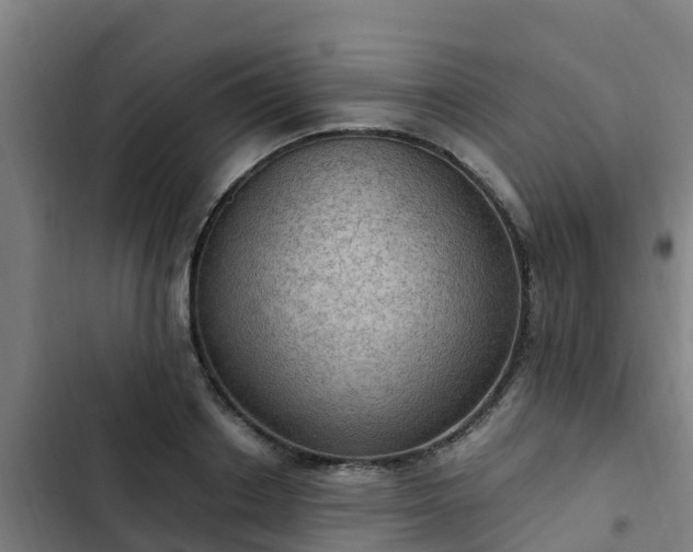 X0000103140842200808291337