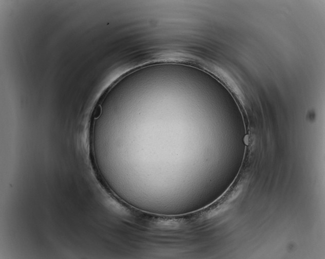 X0000103140843200808291337