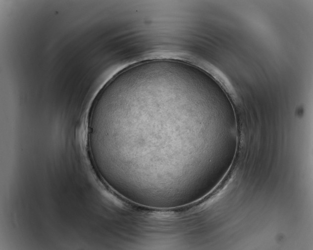 X0000103140844200808291337