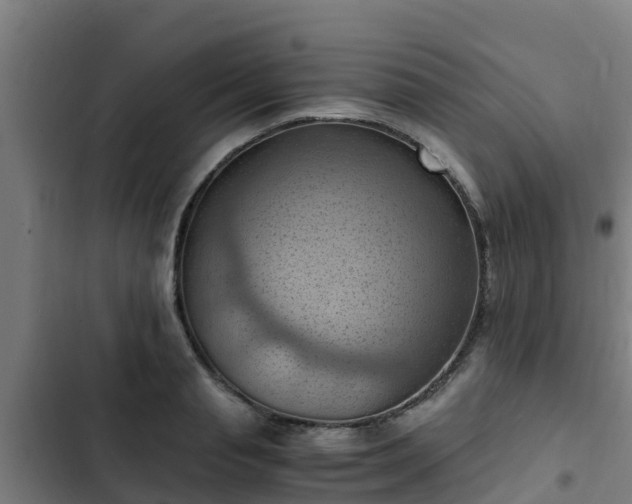 X0000103140845200808291337