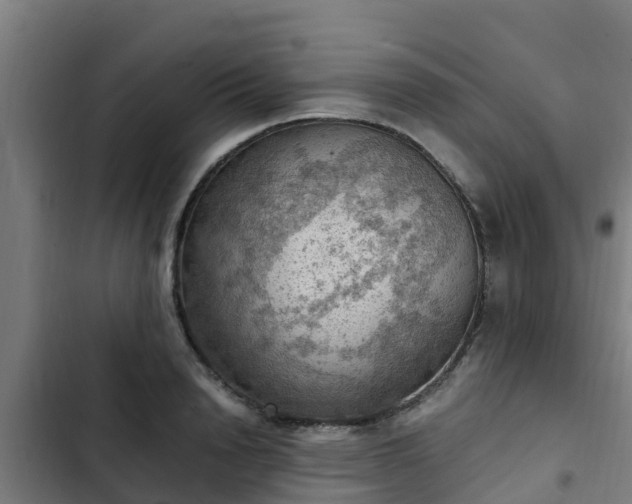 X0000103140846200808291337