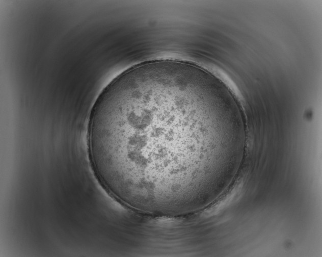 X0000103140847200808291337