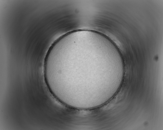 X0000103140848200808291337