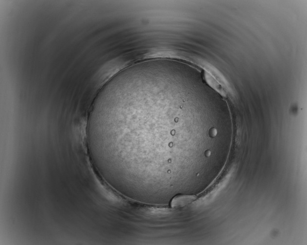 X0000103140849200808291337