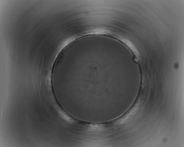 X0000103140850200808291337