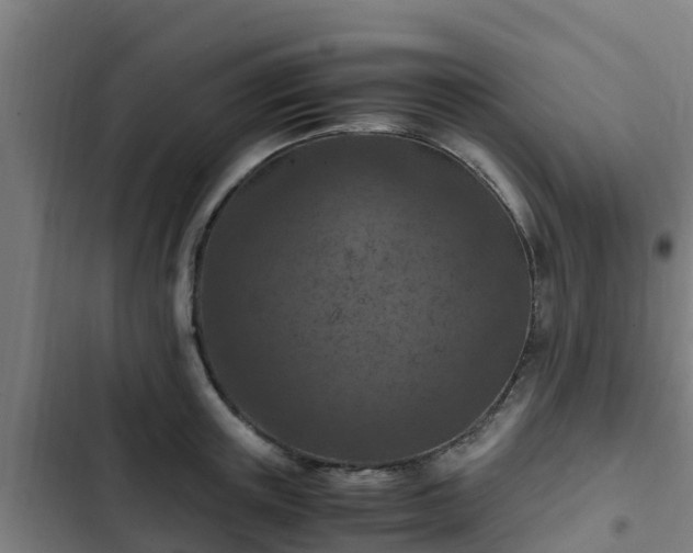 X0000103140851200808291337