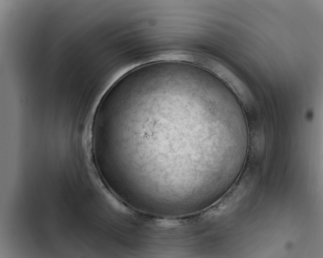 X0000103140852200808291337