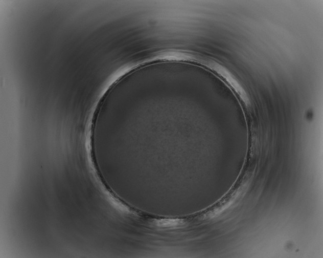 X0000103140853200808291337