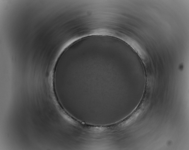 X0000103140854200808291337