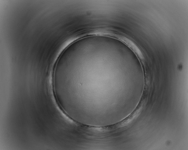 X0000103140855200808291337