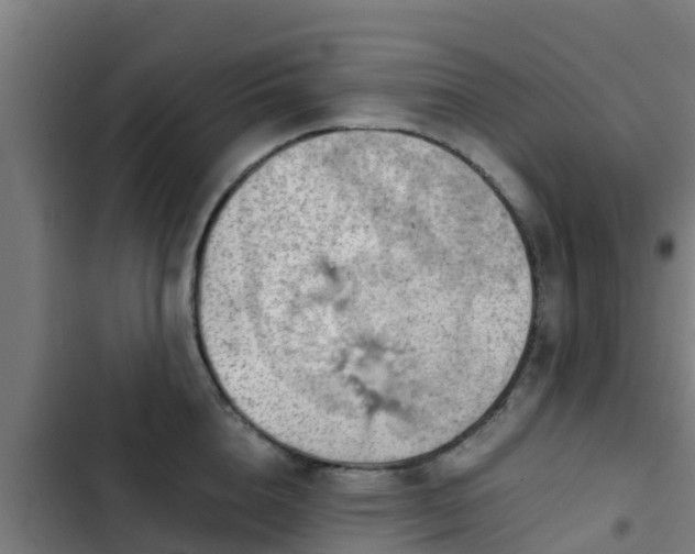 X0000103140856200808291337