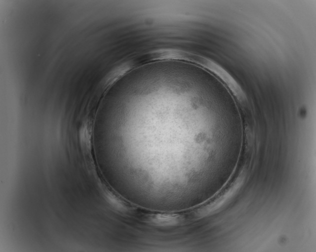 X0000103140857200808291337