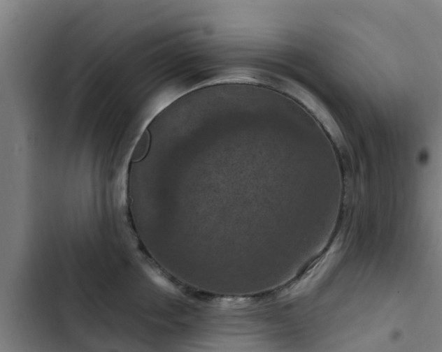 X0000103140858200808291337