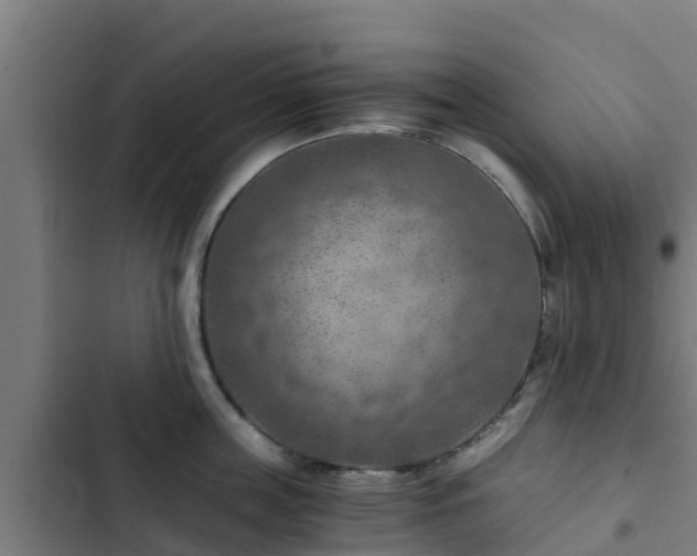 X0000103140859200808291337