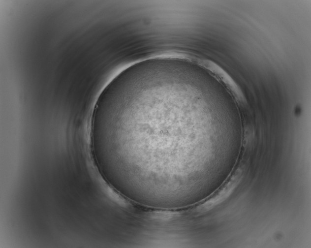 X0000103140860200808291337