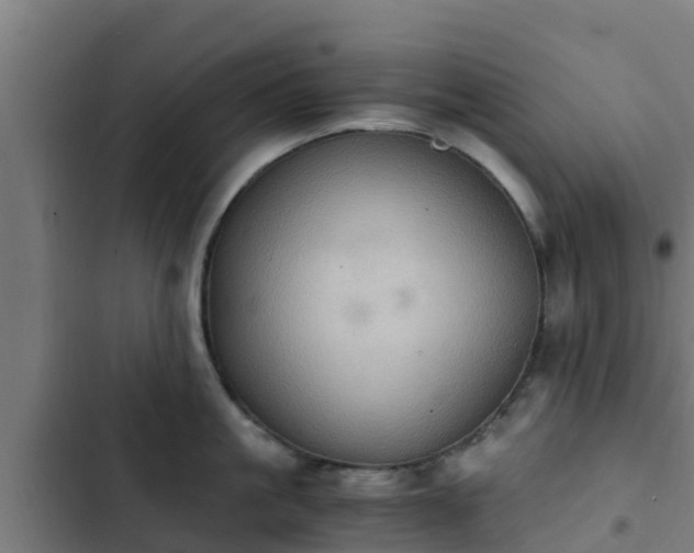 X0000103140861200808291337