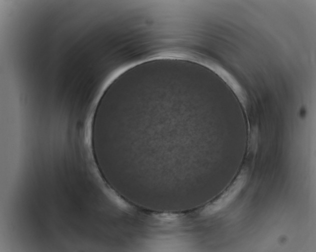 X0000103140862200808291337